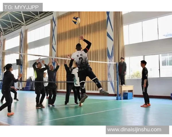 陈丽独家分享排球心得与技巧助你提升球技的秘诀与经验